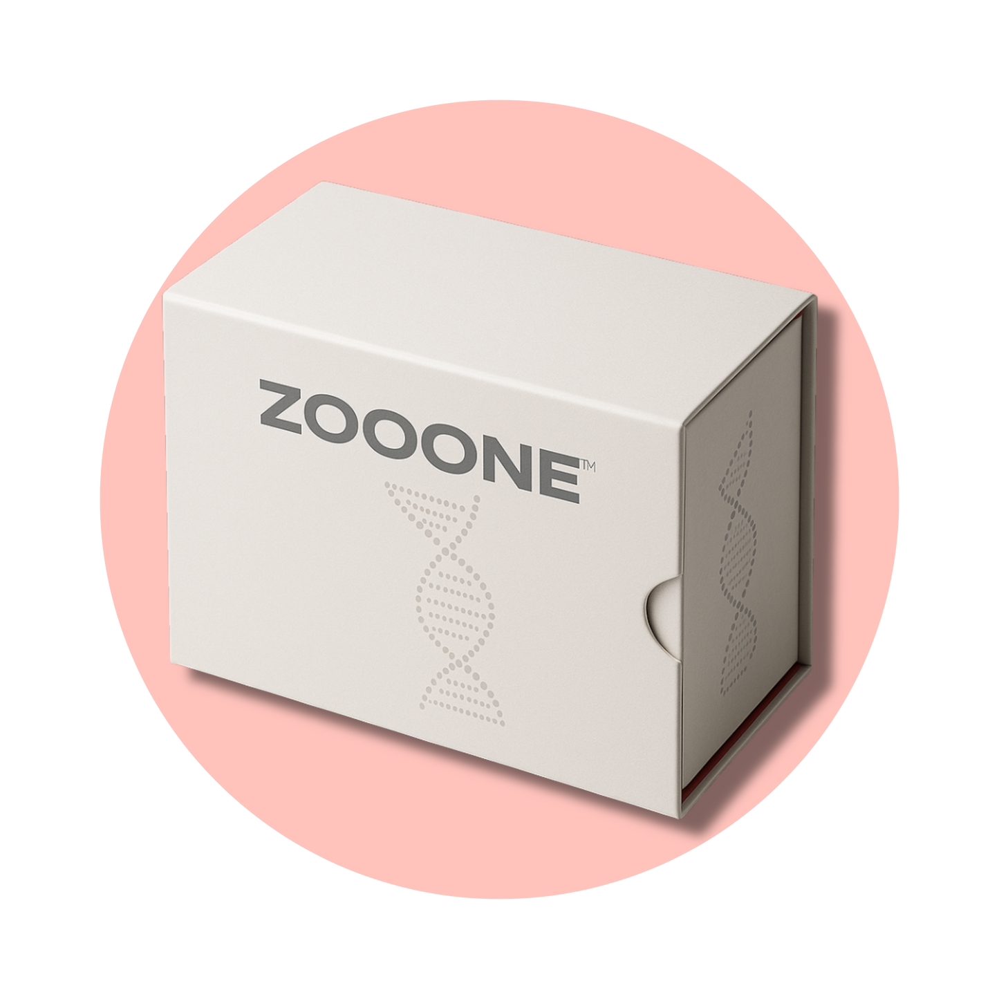 Free Insured Shipping