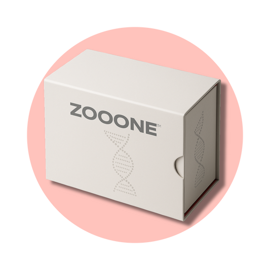 Free Insured Shipping